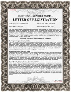 MYESA Registration Letter ESA-page-001